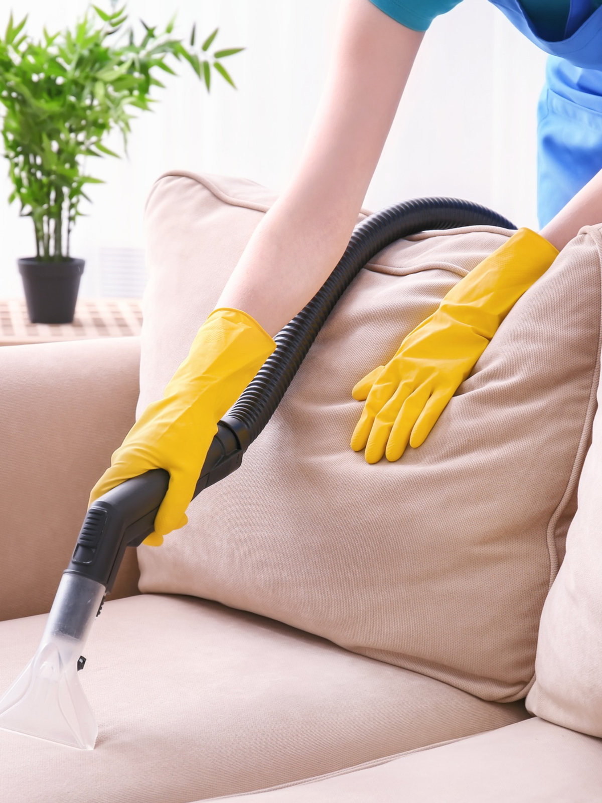 Wow Cleaning team vacuuming a couch